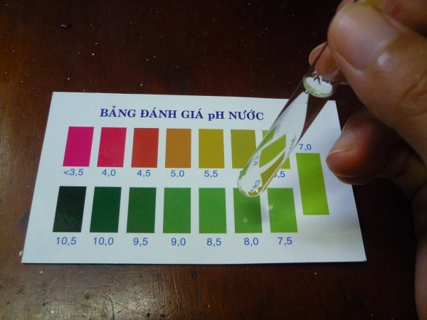 Cach kiem tra ph